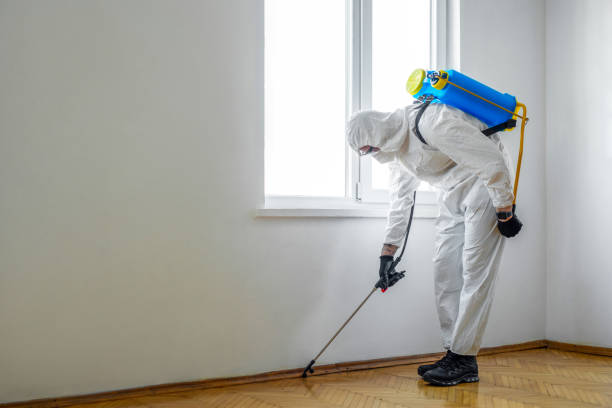 Trusted Austin, TX Pest Control Experts