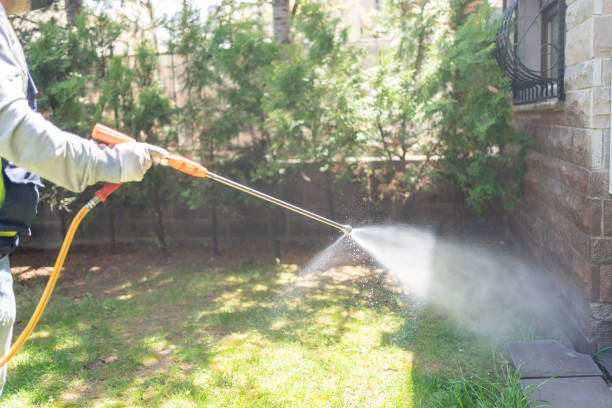 Pest Control Cost in Austin, TX